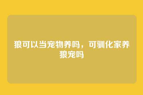 狼可以当宠物养吗,可驯化家养狼宠吗