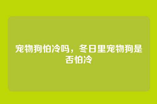 宠物狗怕冷吗,冬日里宠物狗是否怕冷