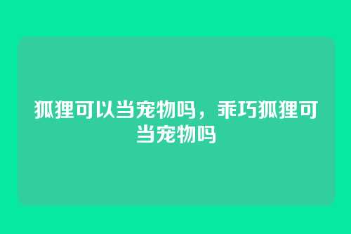 狐狸可以当宠物吗,乖巧狐狸可当宠物吗