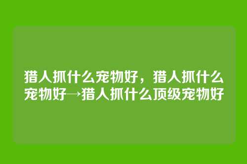 猎人抓什么宠物好,猎人抓什么宠物好→猎人抓什么顶级宠物好