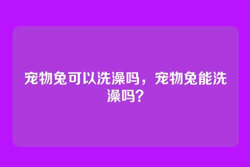 宠物兔可以洗澡吗,宠物兔能洗澡吗?