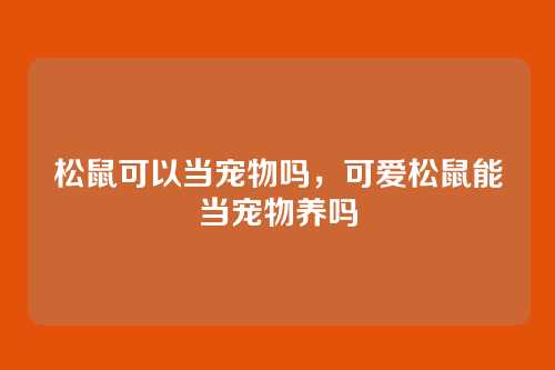 松鼠可以当宠物吗,可爱松鼠能当宠物养吗