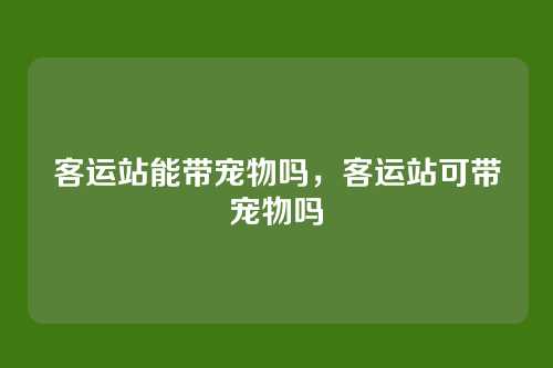 客运站能带宠物吗,客运站可带宠物吗