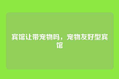 宾馆让带宠物吗，宠物友好型宾馆