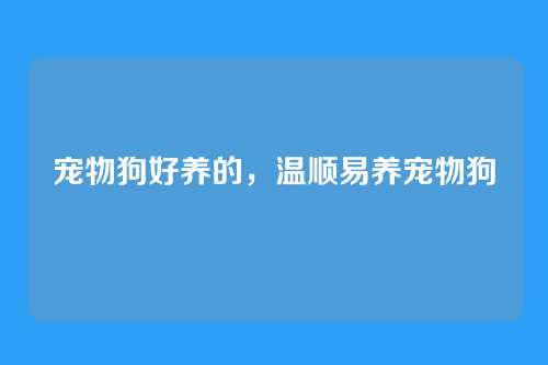 宠物狗好养的，温顺易养宠物狗