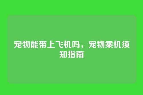 宠物能带上飞机吗,宠物乘机须知指南