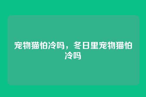 宠物猫怕冷吗,冬日里宠物猫怕冷吗