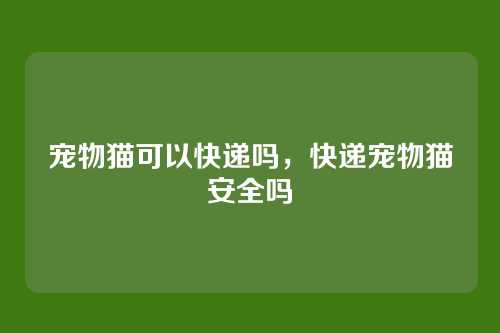 宠物猫可以快递吗,快递宠物猫安全吗