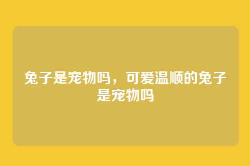 兔子是宠物吗，可爱温顺的兔子是宠物吗