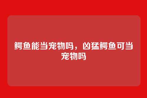 鳄鱼能当宠物吗,凶猛鳄鱼可当宠物吗