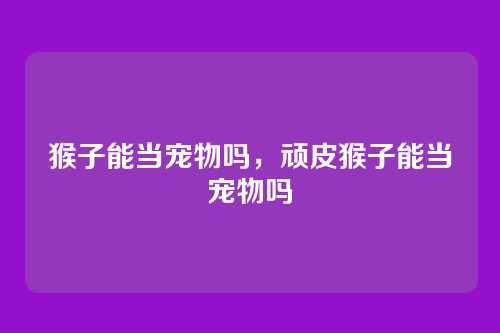 猴子能当宠物吗,顽皮猴子能当宠物吗