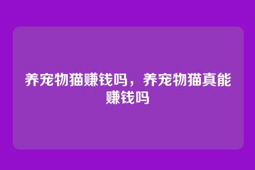 养宠物猫赚钱吗，养宠物猫真能赚钱吗