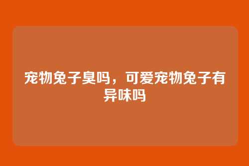 宠物兔子臭吗,可爱宠物兔子有异味吗