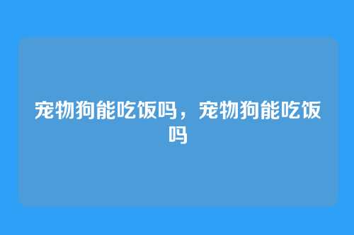 宠物狗能吃饭吗,宠物狗能吃饭吗