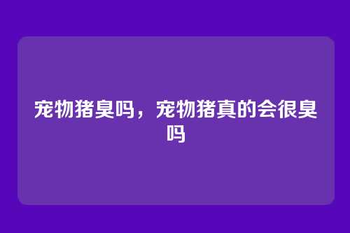 宠物猪臭吗,宠物猪真的会很臭吗