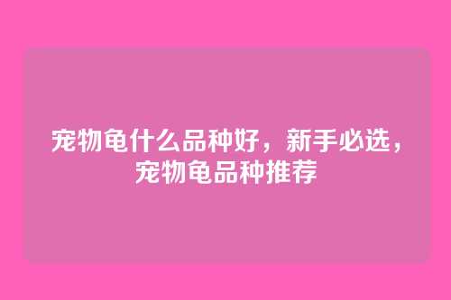 宠物龟什么品种好,新手必选,宠物龟品种推荐