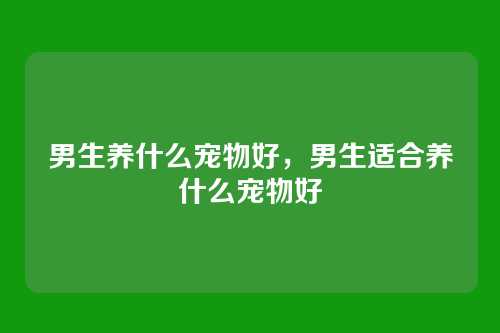 男生养什么宠物好,男生适合养什么宠物好