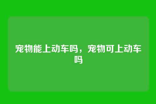 宠物能上动车吗,宠物可上动车吗
