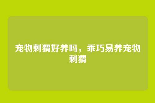 宠物刺猬好养吗,乖巧易养宠物刺猬