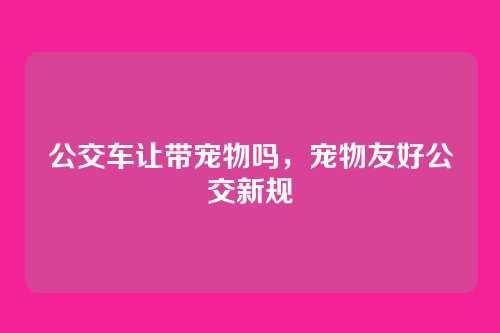 公交车让带宠物吗,宠物友好公交新规