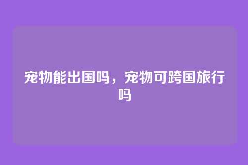 宠物能出国吗,宠物可跨国旅行吗