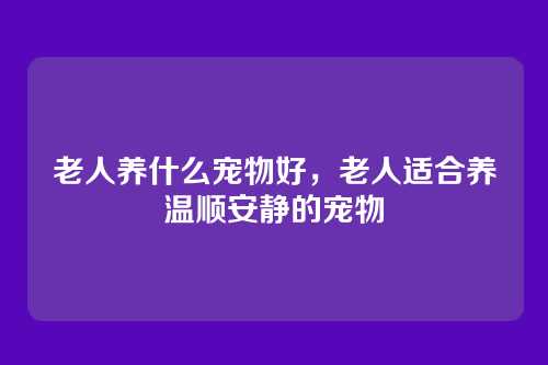 老人养什么宠物好，老人适合养温顺安静的宠物