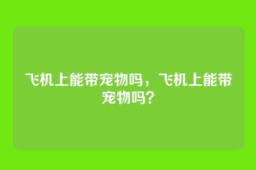 飞机上能带宠物吗,飞机上能带宠物吗?