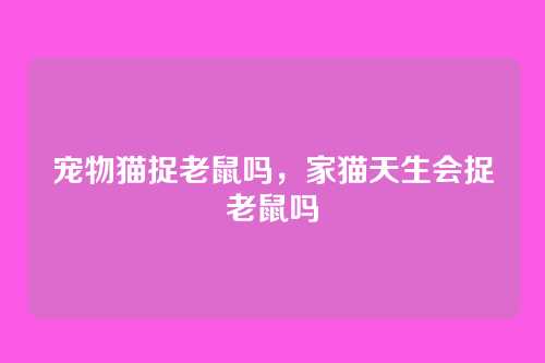 宠物猫捉老鼠吗,家猫天生会捉老鼠吗