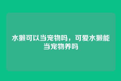 水獭可以当宠物吗，可爱水獭能当宠物养吗