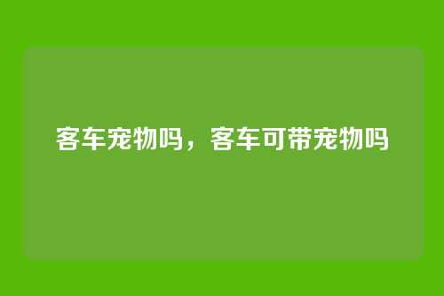客车宠物吗,客车可带宠物吗