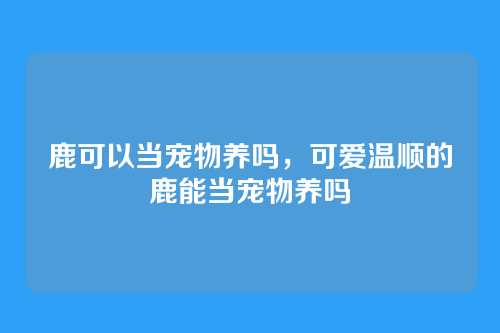 鹿可以当宠物养吗,可爱温顺的鹿能当宠物养吗