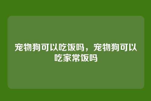 宠物狗可以吃饭吗，宠物狗可以吃家常饭吗