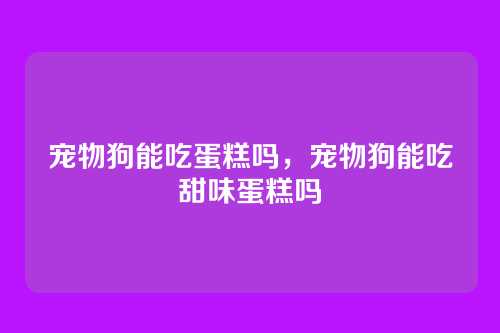 宠物狗能吃蛋糕吗,宠物狗能吃甜味蛋糕吗