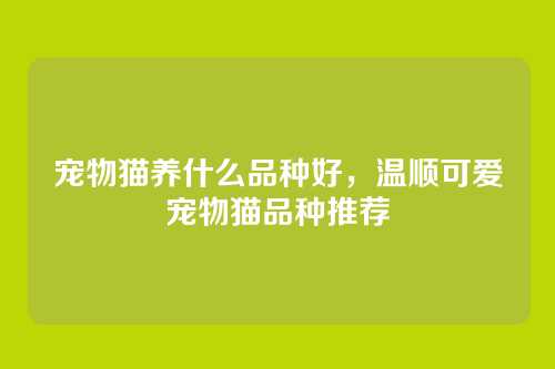 宠物猫养什么品种好，温顺可爱宠物猫品种推荐