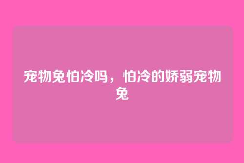 宠物兔怕冷吗,怕冷的娇弱宠物兔