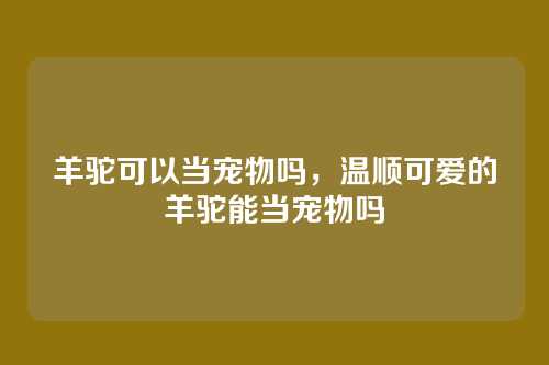 羊驼可以当宠物吗，温顺可爱的羊驼能当宠物吗