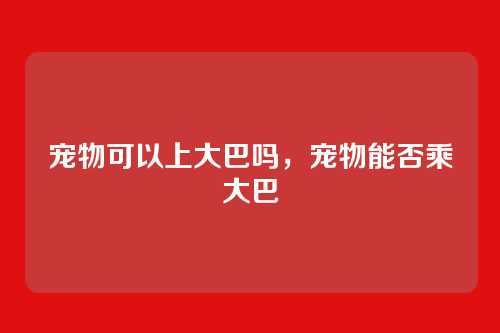 宠物可以上大巴吗，宠物能否乘大巴