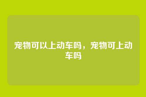 宠物可以上动车吗,宠物可上动车吗