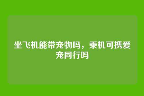 坐飞机能带宠物吗，乘机可携爱宠同行吗