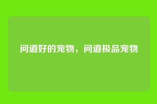 问道好的宠物,问道极品宠物