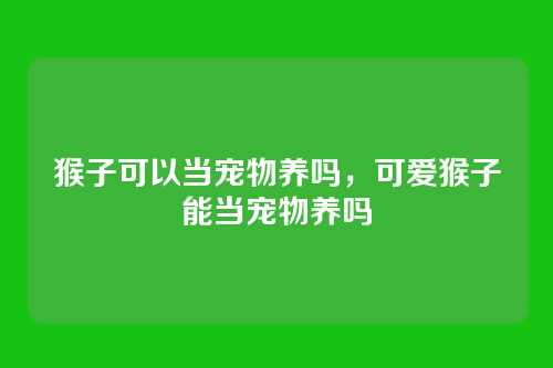 猴子可以当宠物养吗，可爱猴子能当宠物养吗