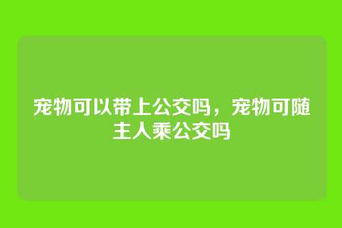 宠物可以带上公交吗，宠物可随主人乘公交吗