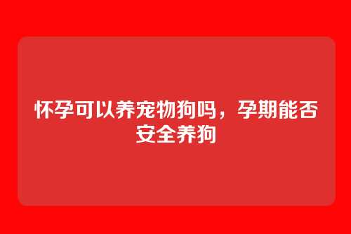 怀孕可以养宠物狗吗,孕期能否安全养狗