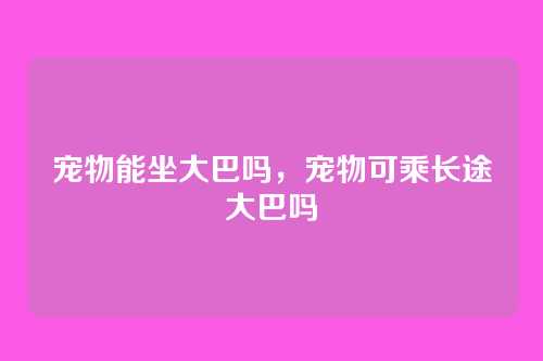 宠物能坐大巴吗,宠物可乘长途大巴吗