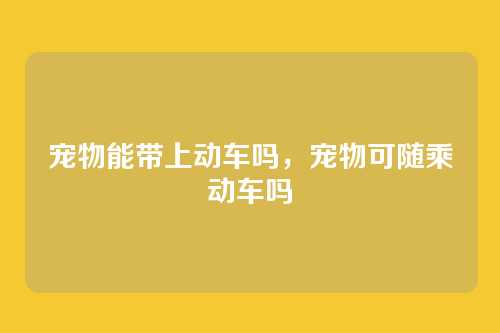 宠物能带上动车吗,宠物可随乘动车吗