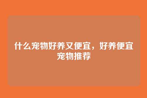 什么宠物好养又便宜,好养便宜宠物推荐