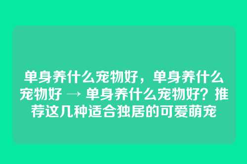 单身养什么宠物好,单身养什么宠物好 → 单身养什么宠物好?推荐这几种适合独居的可爱萌宠