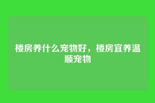 楼房养什么宠物好,楼房宜养温顺宠物