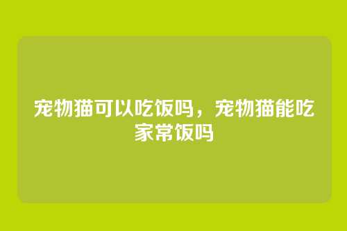 宠物猫可以吃饭吗,宠物猫能吃家常饭吗