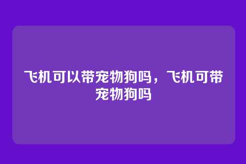 飞机可以带宠物狗吗,飞机可带宠物狗吗